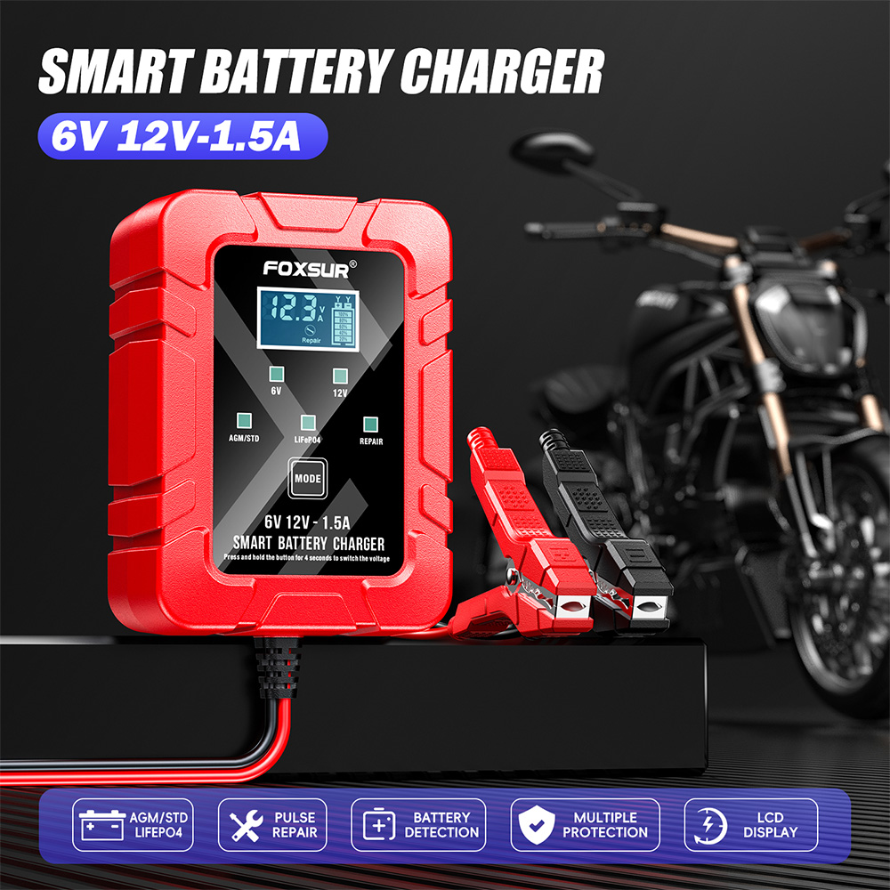 Lifepo4 Battery Charger Smart Automatic - Foxsur 6v 12v automático inteligente gotejamento
