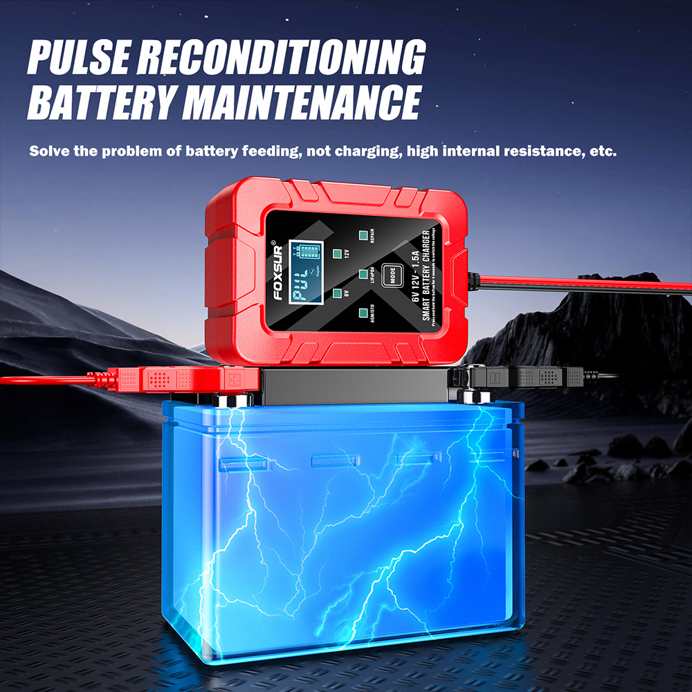 Foxsur 6v 12v automático intel - Lifepo4 Battery Charger Smart Automatic avaliação e preço